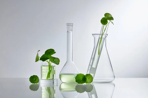 Scientific Experiment Centella Asiatica Extract Empty Podium Glass Cosmetic Bottle — Stock Photo, Image