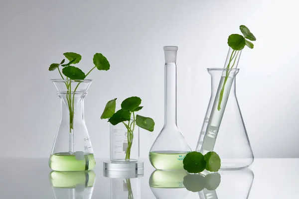 Scientific Experiment Centella Asiatica Extract Empty Podium Glass Cosmetic Bottle — Stock Photo, Image