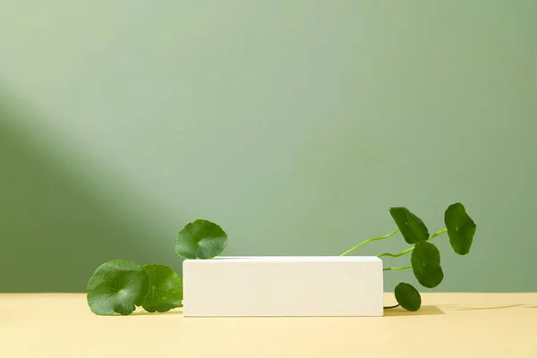 Abstraktes Weißes Podium Grüner Hintergrund Für Produktpräsentation Objektplatzierung Kosmetische Podiumsvorlage — Stockfoto