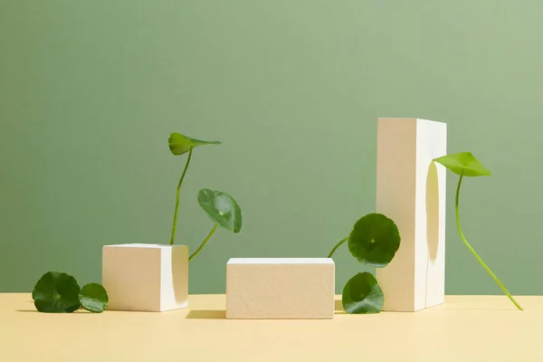 Podio Blanco Abstracto Fondo Verde Para Presentación Del Producto Colocación —  Fotos de Stock