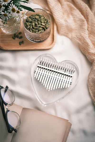 Kalimba Eller Mbira Ett Afrikanskt Musikinstrument Sängen Glas Kalimba Med — Stockfoto