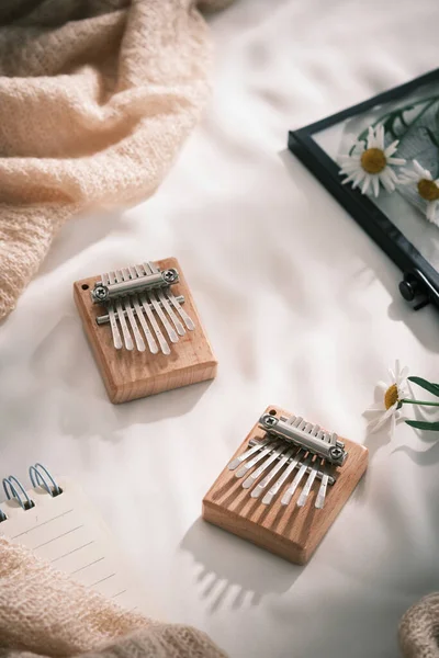 Kalimba Mbira Een Afrikaans Muziekinstrument Rustige Ontspannende Instrumentale Muziek Kalimba — Stockfoto