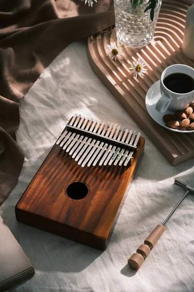 Kalimba Eller Mbira Ett Afrikanskt Musikinstrument Traditionellt Shona Folket Zimbabwe — Stockfoto