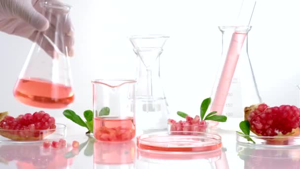 Предпосылки Контекст Laboratory Research Development Pomegranate Extract — стоковое видео