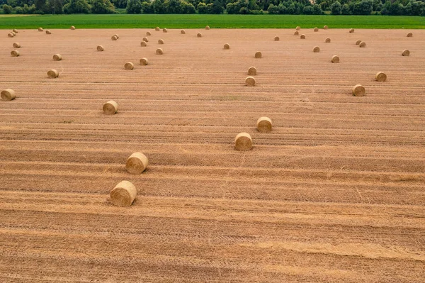 夏の干し草作りの後 収穫した畑の丸い俵 — ストック写真