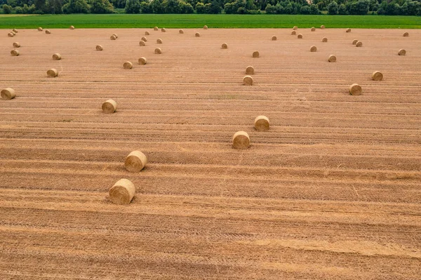 Pacas Redondas Campo Cosechado Después Del Heno Verano —  Fotos de Stock