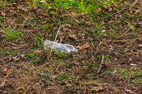 Una Botella Plástico Contamina Medio Ambiente Natural Europa —  Fotos de Stock