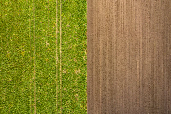 Aerial View Tractor Tracks Green Field Well Brown Field — Stock Photo, Image