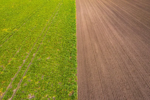 Vista Pájaro Las Huellas Del Tractor Campo Verde Campo Marrón —  Fotos de Stock