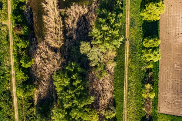 Widok Powietrza Szlaku Turystycznego Grobli Strumienia Naturalnym Biotopem — Zdjęcie stockowe