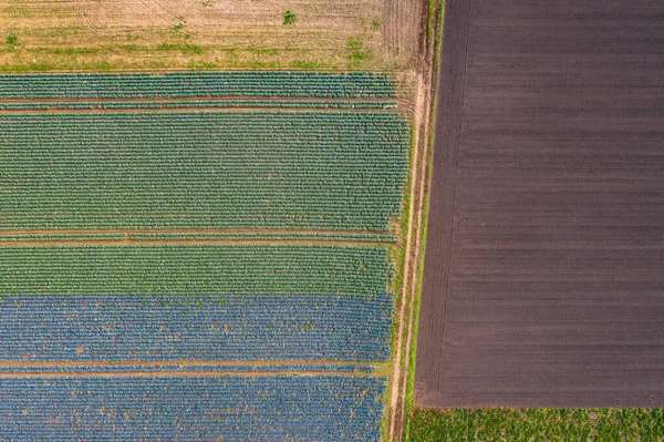 Dirt Road Seen Air Separates Colorful Fields South Germany — Stock Photo, Image