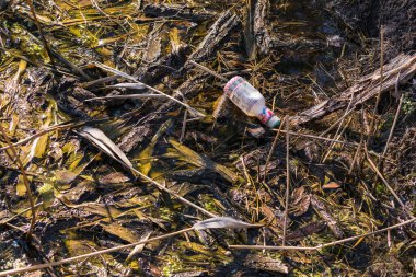 Plastik bir şişe, bir akarsuyu doğal olarak kirletir.