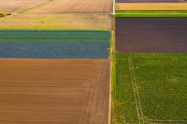 Rolnictwo Niemczech Fotografowane Góry Może Być Sztuka — Zdjęcie stockowe