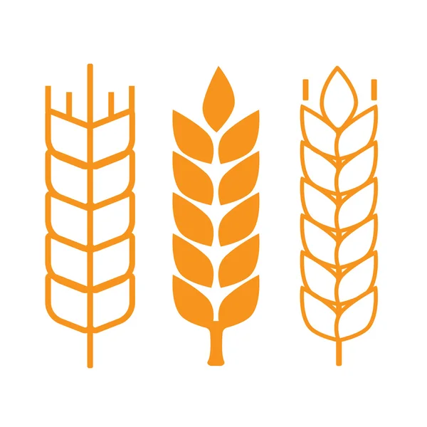 Weizenähren-Symbole — Stockvektor