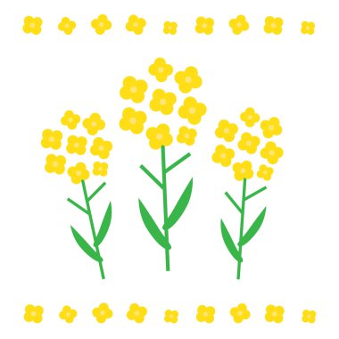 Kanola çiçek vektör çizim. Düz stil kanola çiçek kavram. Kolza çiçekleri sembolleri