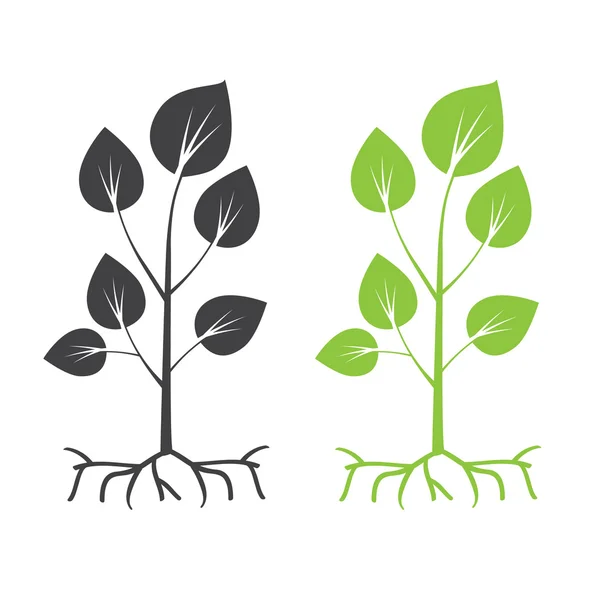 Svarta träd och rötter silhuetter med blad — Stock vektor