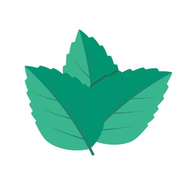 Vektör çizim eps 10 nane. Nane simgesi ftal tarzı