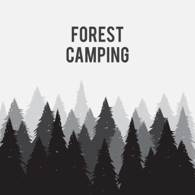 İğne yapraklı çam ormanı