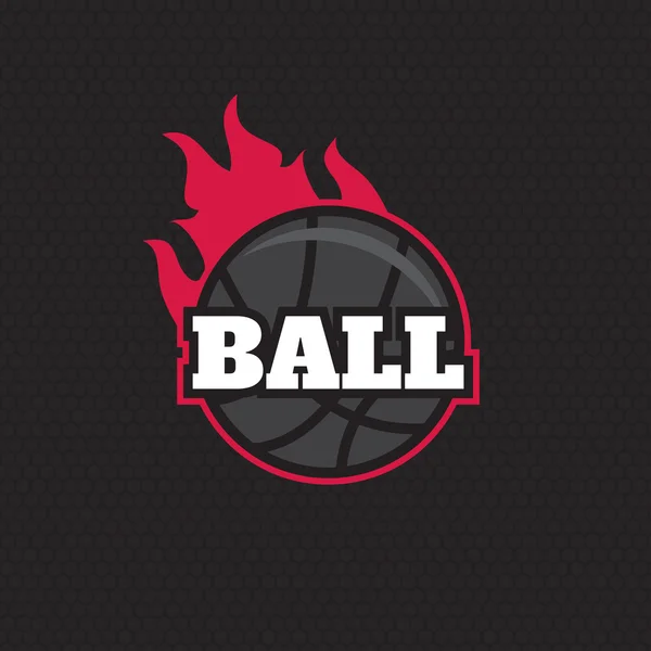 Logo del equipo de baloncesto — Archivo Imágenes Vectoriales