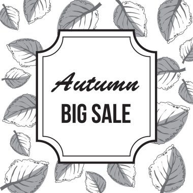 akçaağaç yaprakları ile sonbahar Satılık arka plan