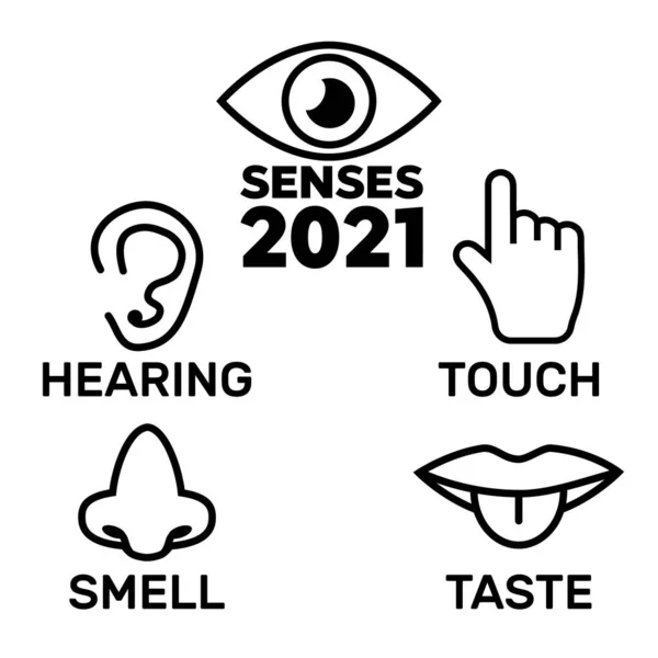 Ikone Mit Fünf Menschlichen Sinnen Symbole Der Sinne — Stockvektor