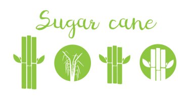 Şeker kamışı vektörü. Şeker kamışı simgesi izole edildi