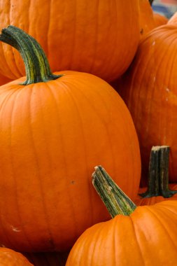 Jack-o-lantern Halloween Pumpkins