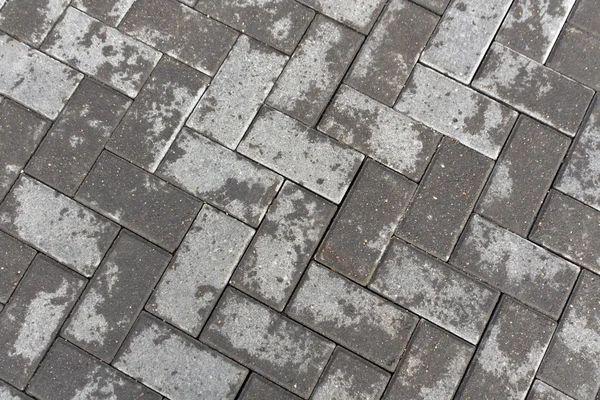 Grey wet pavement closeup. — Stock Photo, Image