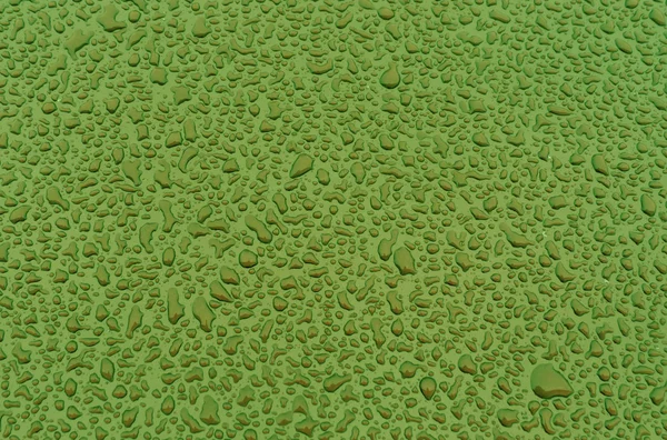 Green water drops on metal car surface.