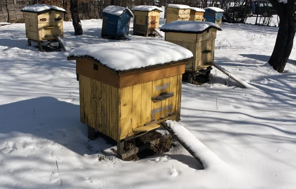 Eski renk arı kovanlarını karda. — Stok fotoğraf