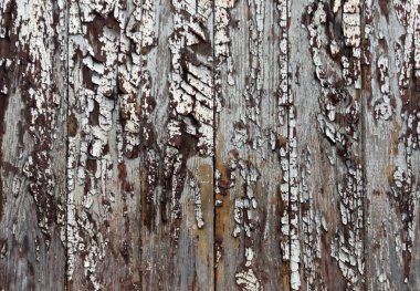 Kahverengi ahşap çit doku yıpranmış. 