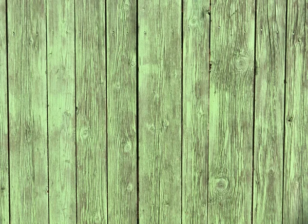 Zöld fa fal textúra. — Stock Fotó