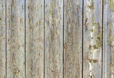 Gri ahşap hangar doku eski yıpranmış. 