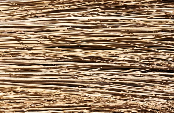 Straw broom texture. — Stock Photo, Image