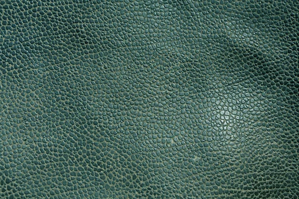 Texture astratta in pelle di ciano . — Foto Stock