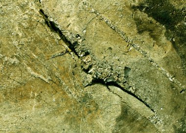 Doku soyut ağaç kesmek