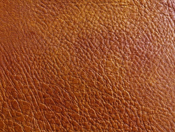 Abstract color leather surface. — Stock Photo, Image