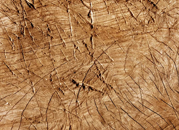 Abstrato laranja tonificado cortar a superfície da árvore velha com arranhões de machado . — Fotografia de Stock