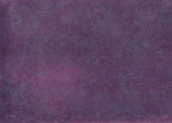 Purple leather surface. — Stock Photo, Image