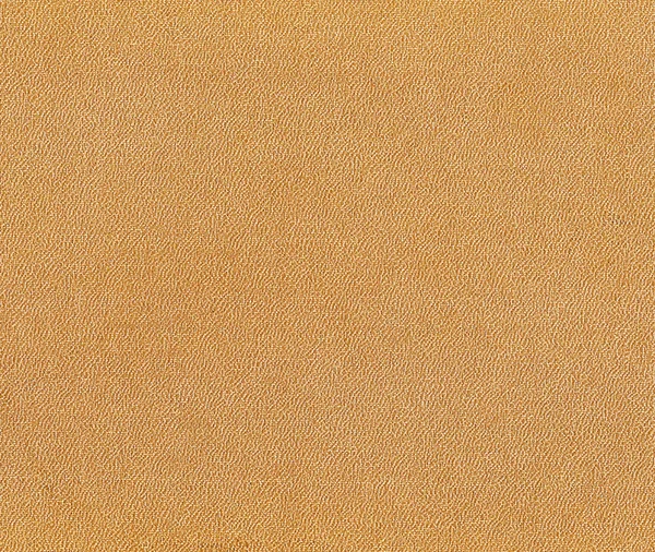Orange leather surface. Stock Image