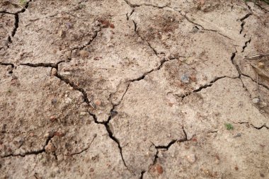 Kuru çatlak toprak deseni. Doğal arkaplan ve doku                   