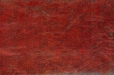 kahverengi deri desenli. Tasarım için soyut arkaplan