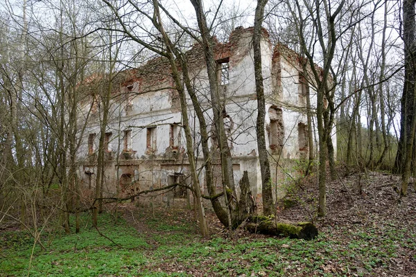 Ruinas Viejo Edificio Ladrillo Con Árboles Paisaje Vista Historia Belarús — Foto de Stock