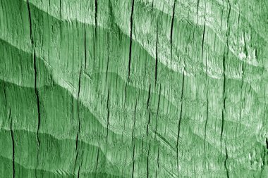 Odun kıvrımlarının bir kısmı yeşil tonda. Doğal arkaplan ve doku.      