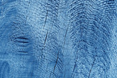 Odun kıvrımlarının bir kısmı lacivert tonda. Doğal arkaplan ve doku.