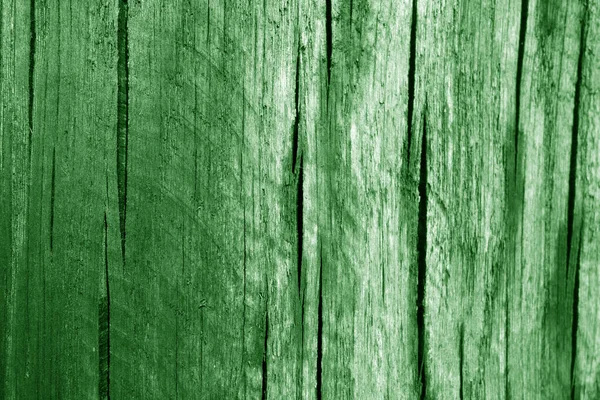 Část Dřeva Zeleným Tónem Zakřivuje Dubu Přírodní Zázemí Textura — Stock fotografie