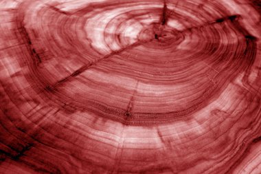 Tahta desen, kırmızı tonda bulanık efektli. Tasarım için soyut arkaplan ve doku.
