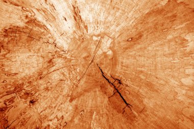 Tahta desenli ve turuncu tonda bulanık. Tasarım için soyut arkaplan ve doku.