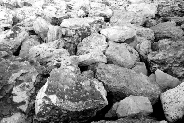 Steine Die Als Wellenbrecher Meer Schwarz Und Weiß Verwendet Werden — Stockfoto