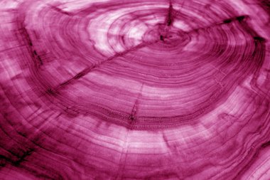 Tahta desen, pembe tonda bulanık efektli. Tasarım için soyut arkaplan ve doku.